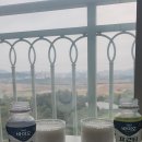 [💎반짝이는 추천템]_🥛건강하게 예뻐지는 압구정 프로틴 요거트🤍