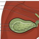 경북동물병원 이미지