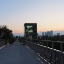 수변생태순환길 - 양화한강공원 구간 이미지