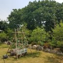 세현공인중개사사무소 이미지