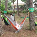 모산초병설유치원 이미지