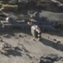 소로3-286 이미지