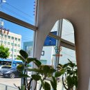 포항동물병원 이미지