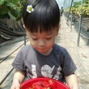 유신농장 이미지