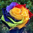 강남세련성형외과의원 이미지