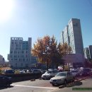 길거리아 이미지