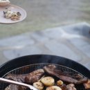 아폴로 스테이 | 서울 근교 글램핑 아산 스테이그린 바베큐 불멍