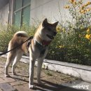 송미농장 이미지