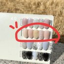 25년 3월 대구 반월당 네일 맛집 보다나은네일