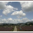 2018양주 천만송이 천일홍축제 - 미리 가서 보는 이미지