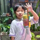 아트앤네이쳐미술학원 이미지