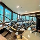 바른결 PT 이미지