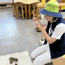 유치원으로 찾아온 자연 생태 체험-숲속 청소 요정 버섯 이야기 이미지