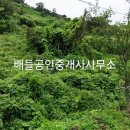 초도로 이미지