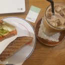 쏭샌드위치 이미지