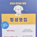 졸리쇼 네이버블로그