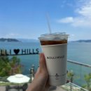 몰리힐스(MOLLI HILLS) 이미지