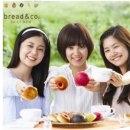 브레댄코 이미지