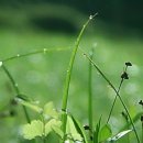 강서구청 이미지