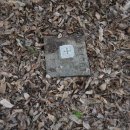 곡성-219 이미지