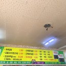 또래꼬마김밥