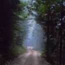 화이트플란트치과의원 이미지