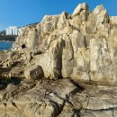 부산광역시 동래구 치매안심센터 이미지