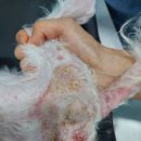 (주)라온메디칼 이미지