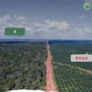 대규농장 이미지