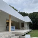 마차다방 | 동대문데이트 추천 알로소 소파다방 전시 후기