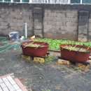 서동경로당 이미지