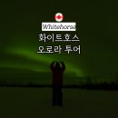 광역투어(둘째주, 토) | 캐나다 오로라 투어 패키지 시기 여행 화이트호스 개썰매