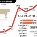 수입마트