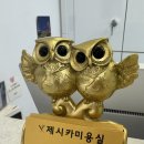 서울대입구컬러장인 관악구 1인샾 제시카 미용실 리얼리뷰 후기