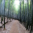 대나무주유소 이미지