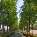 만들다!" 충남 아산 피나클<b>랜드</b> 수목원 2023년 5월 10일