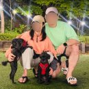 글램독청평 | 가평 애견동반펜션 글램독 청평 방문 후기 바베큐 추가요금(내돈내산)