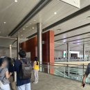 주식회사 리쥬비앙스 | 코엑스 데이트 서울 일러스트레이션 페어 V.11 후기
