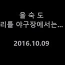 을숙도 리틀야구장 이미지