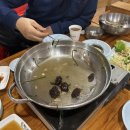 냉수농장 네이버블로그