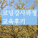 맘이랜서 | 생활코딩프로그래밍 강사과정 수업 후기 1