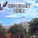 지미봉주차장 | 가성비 끝판왕 제주 동부 오름, 지미봉 정상뷰