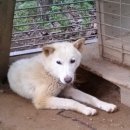 은설농장 이미지