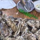 금천구이식당 | 여수굴구이맛집 찾는다면 현지인도 줄 서는 금천굴구이 후기