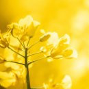 삼호센트럴타워 이미지