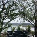 애견펜션 돌봄 이미지