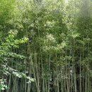 냇가민박 이미지