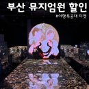 주식회사 신화 | 부산 뮤지엄원 할인 여행특공대 티켓 이용 후기