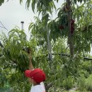 대경목장 이미지