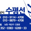 낚시모텔 - 12615 | 낚시모텔